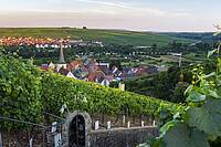 Blick auf die fränkische Maininsel bei Sommerach und Nordheim.