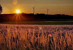 Windräder vor Sonnenuntergang.