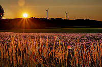 Windräder vor Sonnenuntergang.