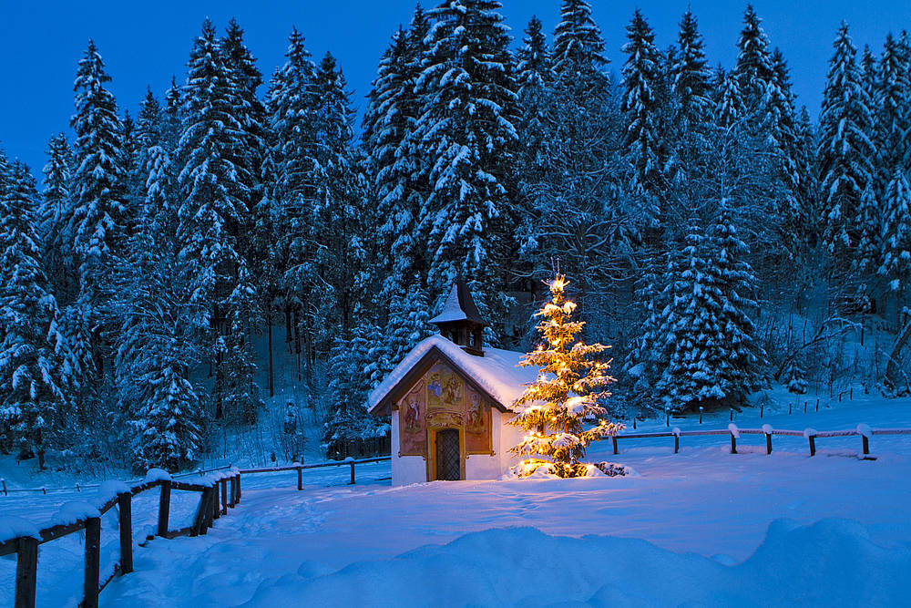 Eine Kapelle und ein beleuchteter Christbaum in einer verschneiten Winterlandschaft.