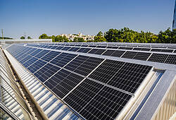 Solarmodule auf einem Halldendach.