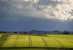 Landwirtschaft DZ Bank Strukturwandel